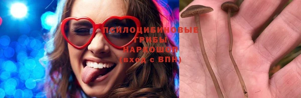 ПСИЛОЦИБИНОВЫЕ ГРИБЫ Алексин