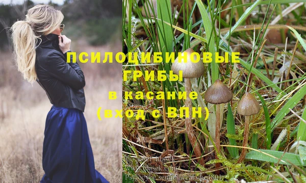 ПСИЛОЦИБИНОВЫЕ ГРИБЫ Алексин
