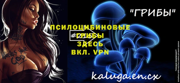 ПСИЛОЦИБИНОВЫЕ ГРИБЫ Алексин