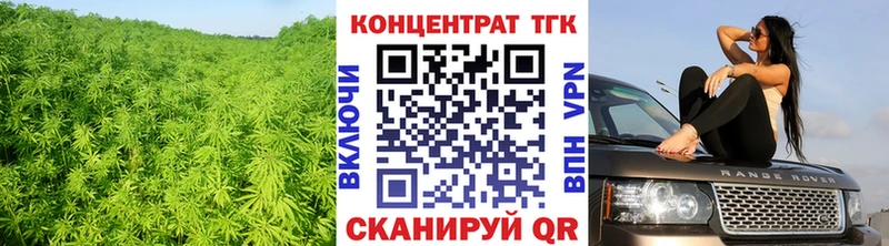 закладка  Каменногорск  Дистиллят ТГК жижа 