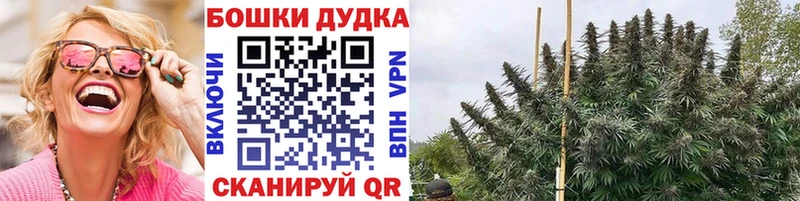 Канабис OG Kush  ссылка на мегу ссылки  Каменногорск 